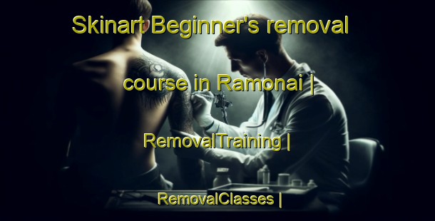 Skinart Beginner's removal course in Ramonai | RemovalTraining | RemovalClasses | SkinartTraining-Lithuania